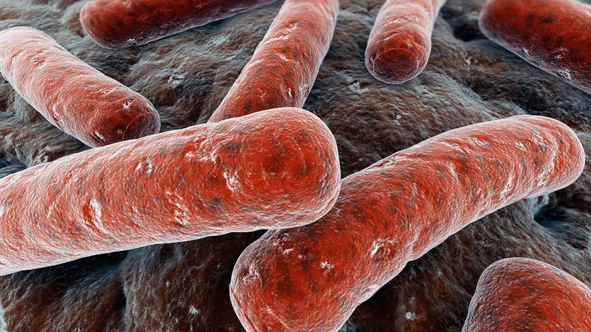 السل : معدلات حدوث المرض على الصعيدين العالمي والإقليمي
