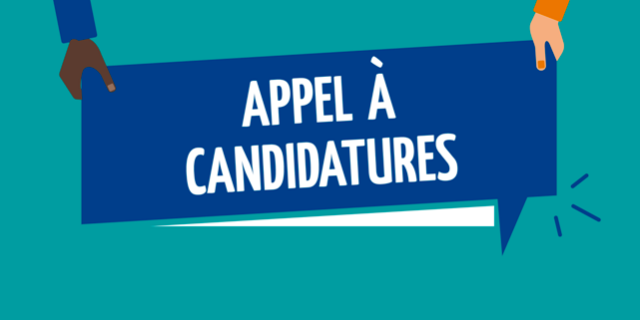 Recherche Consultant.e : Co-Animation d&rsquo;Atelier et Rédaction de Rapport – Activist Development Program